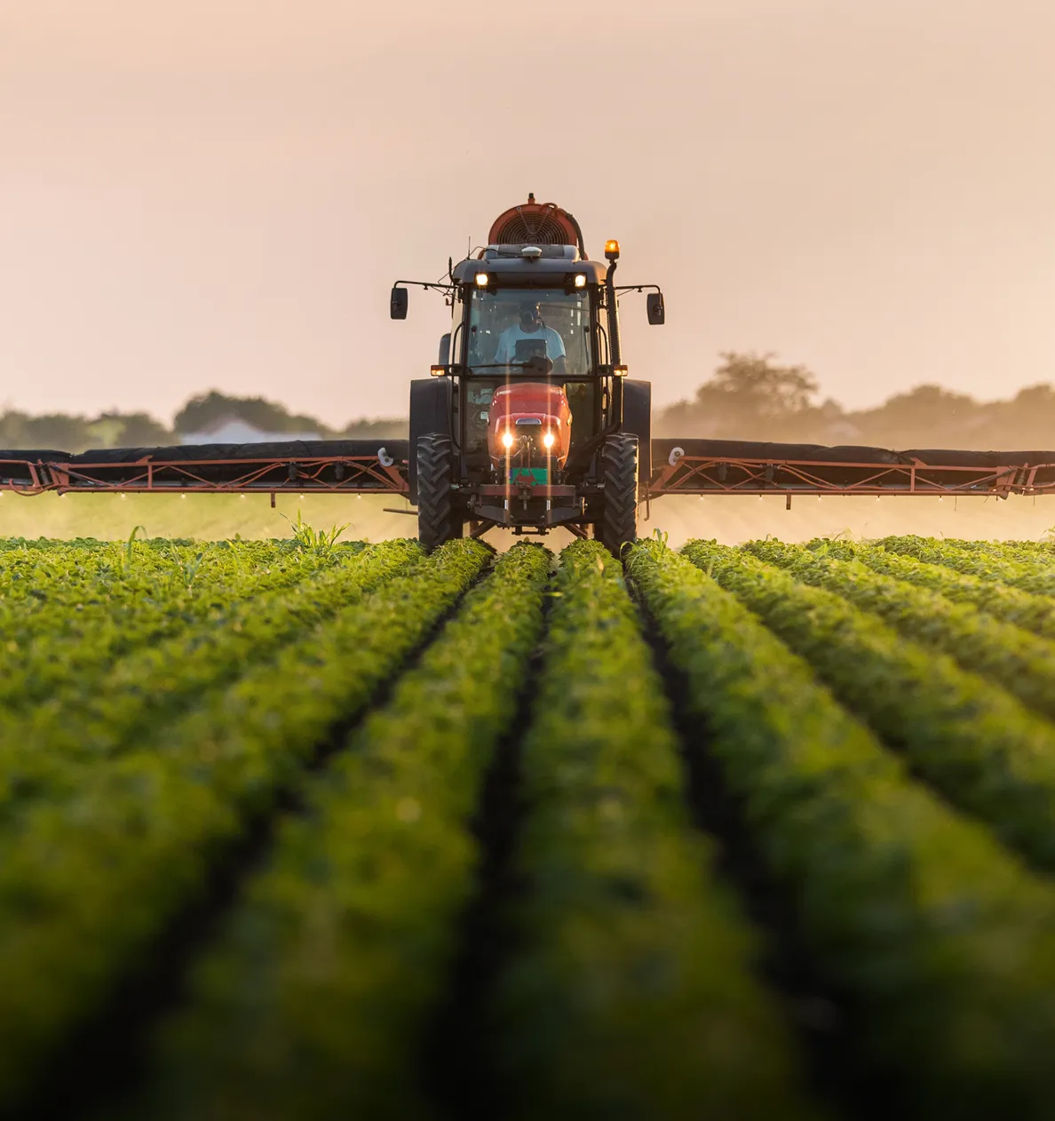 Agriculture & Irrigation